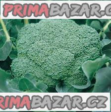 Brokolice Ramoso Calabrese Natalino - semena