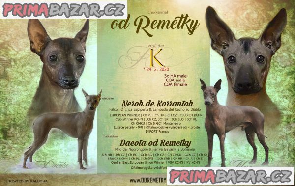 peruánský  a mexický naháč – fotografie 1
