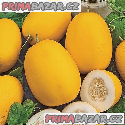 Meloun cukrový Wine peach - semena