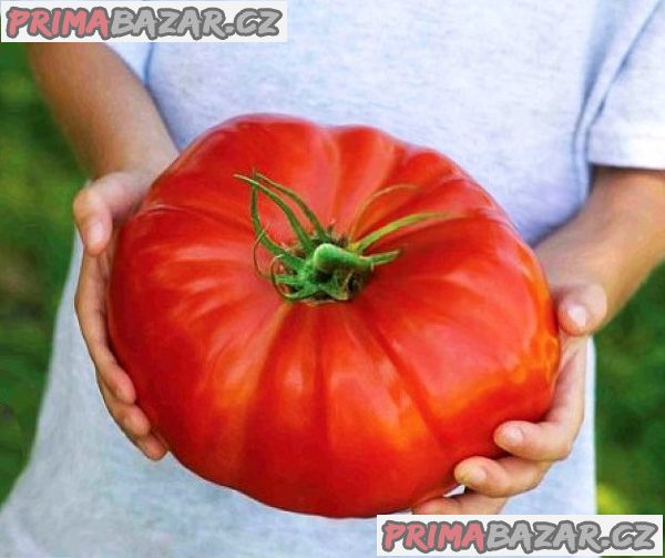 Rajče Gigantomo F1  - semena