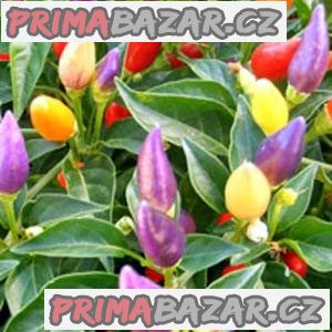 chilli Numex Twilight - semena