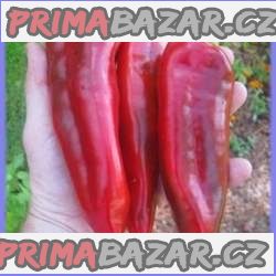 paprika Marconi Rosso - semena