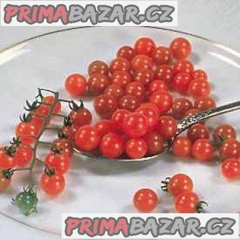 rajče Currant Red - semena