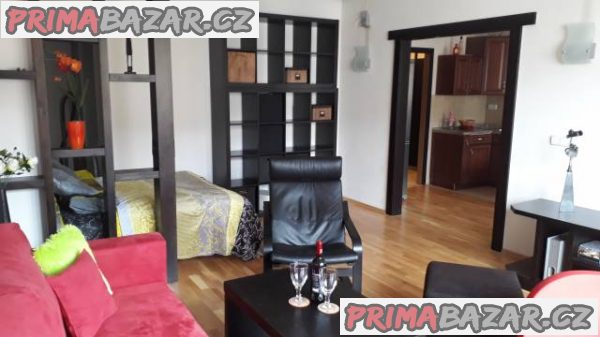 Pronájem bytu na Praze 6 - ihned k dispozici – fotografie 1