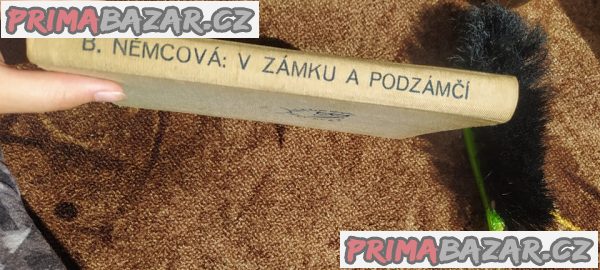 Knihy Božena Němcová – fotografie 7