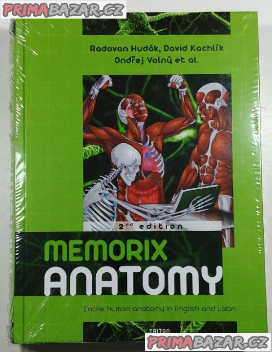 Memorix anatomie