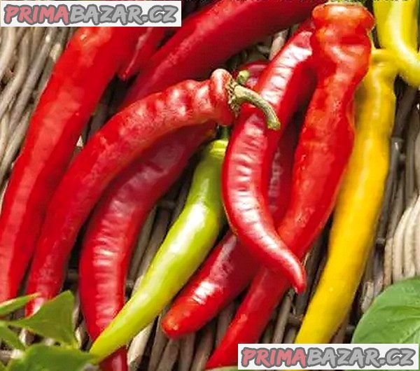 Paprika kozí roh Harriet