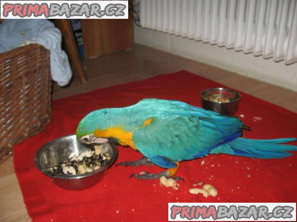 Prodám – fotografie 2