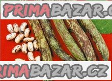Fazol zahradní Bobis D_Albenga