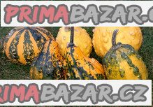 Tykev okrasná - Z Bradavic