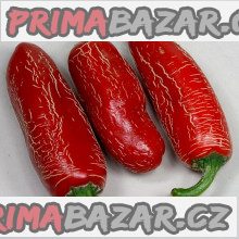 Chilli Numex Vaquero Jalapeňo