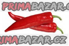 Paprika Komtesa F1 - velmi raná