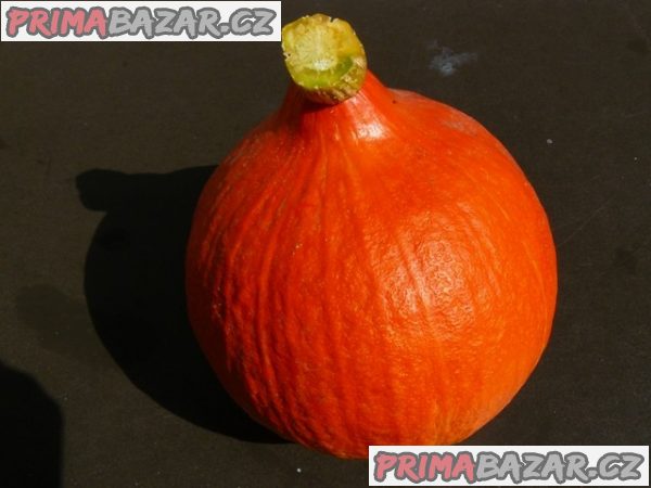 Dýně Hokkaido Orange - semena