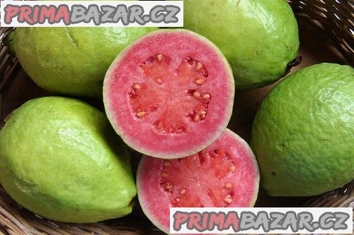 Psidium Guajava ( Kvajava hrušková) - semena