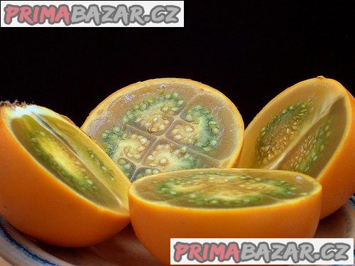 Solanum quitoense „Narančila“ - semena