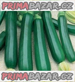 Cuketa nano verde di milano - semena