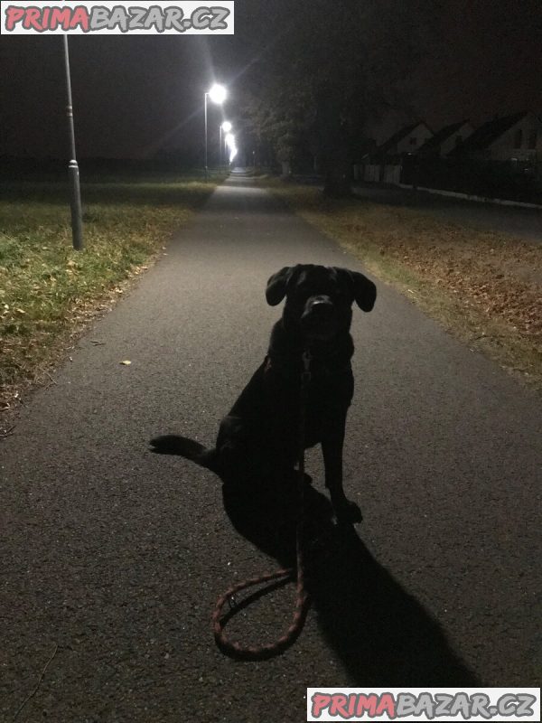 Timmy – fotografie 2