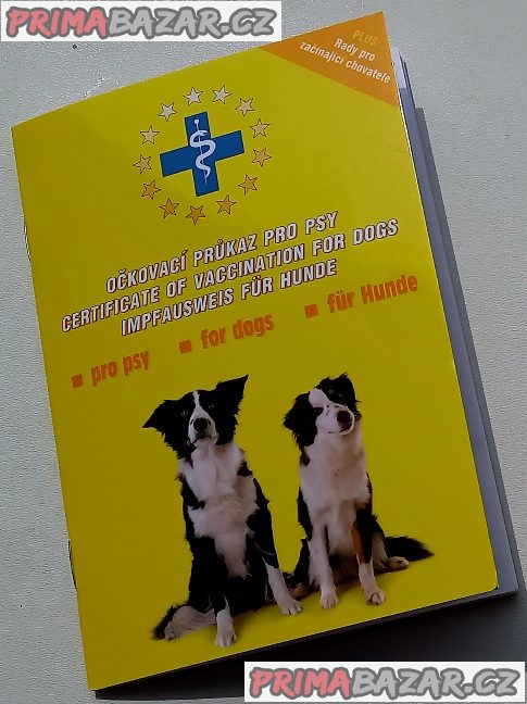 Štěně Štěňátko Kříženec – fotografie 2