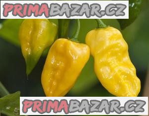 Chilli Habanero Limon - semena