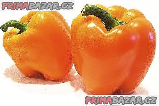 Paprika Afrodita Balení obsahuje 30 semen – fotografie 1