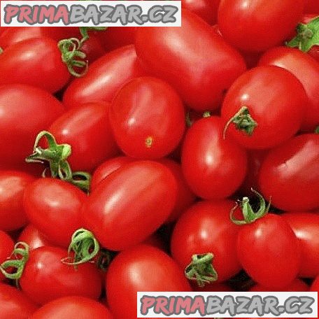 Rajče Chicco III o Ventura Balení obsahuje 50 semen