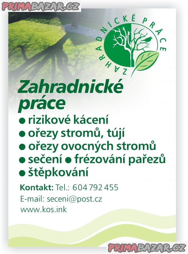 Rizikové kácení a ořezy tújí, živých plotů, frézování pařezů, sečení – fotografie 2