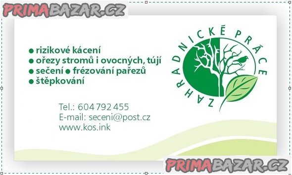 Rizikové kácení a ořezy tújí, živých plotů, frézování pařezů, sečení – fotografie 3