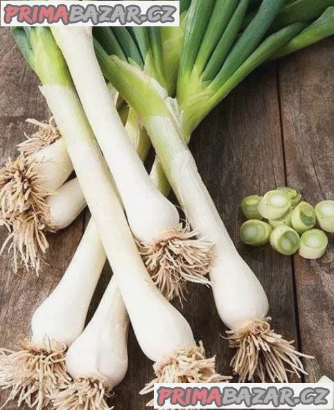 Cibule zimní sedmiletá Kroll Balení obsahuje 500 semen