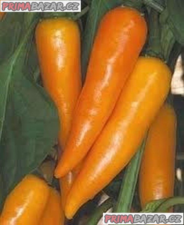 Chilli Bulgarian Carrot