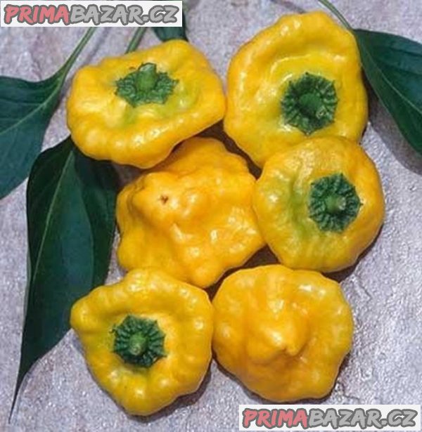 Chilli Jamaican Yellow