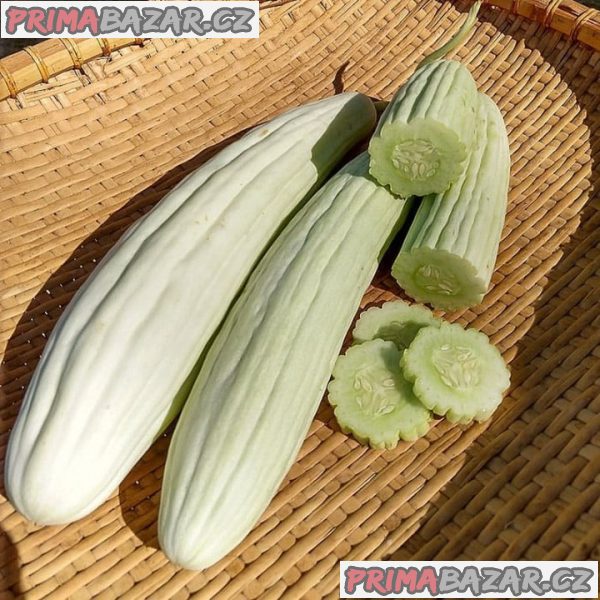 Tortarello Bianco Abruzzese