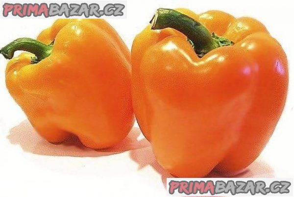 semena papriky Afrodita