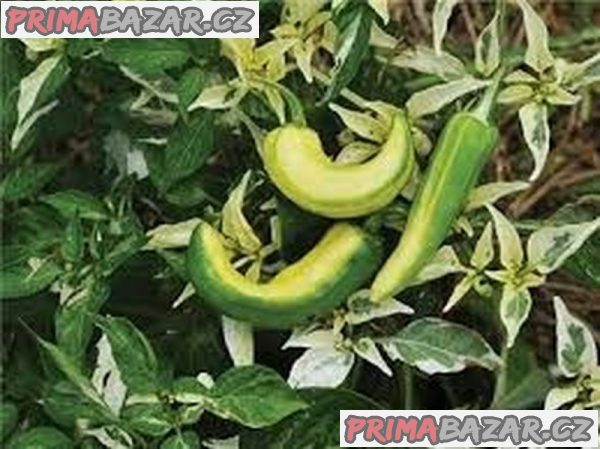 Chilli Fish