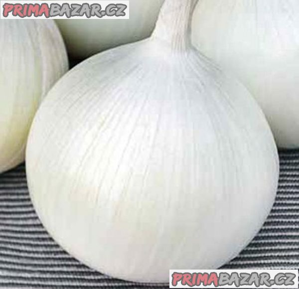 Cibule Southport White Globe