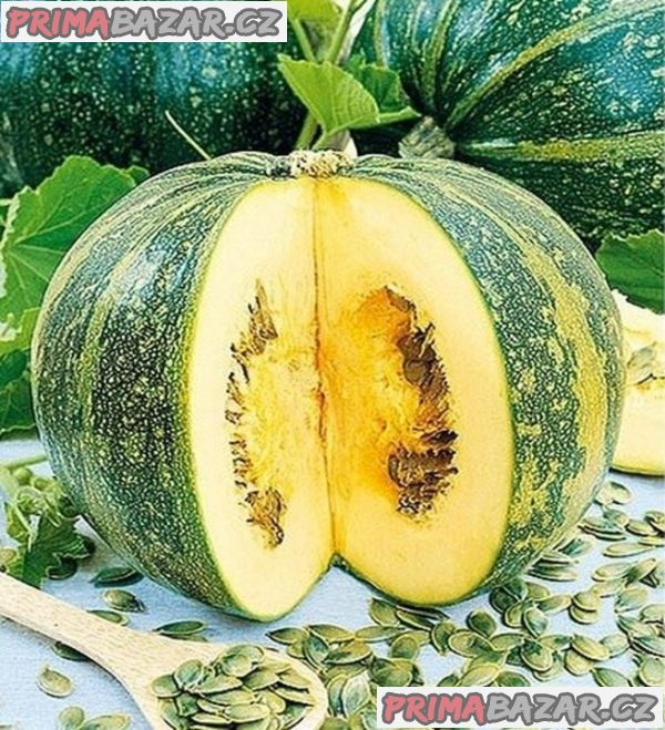 semena tykve Apetit