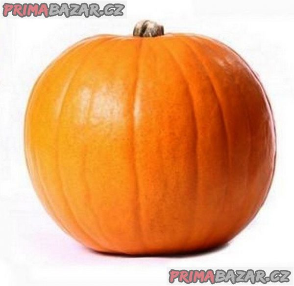 semena tykve Quintale Seme Giallo