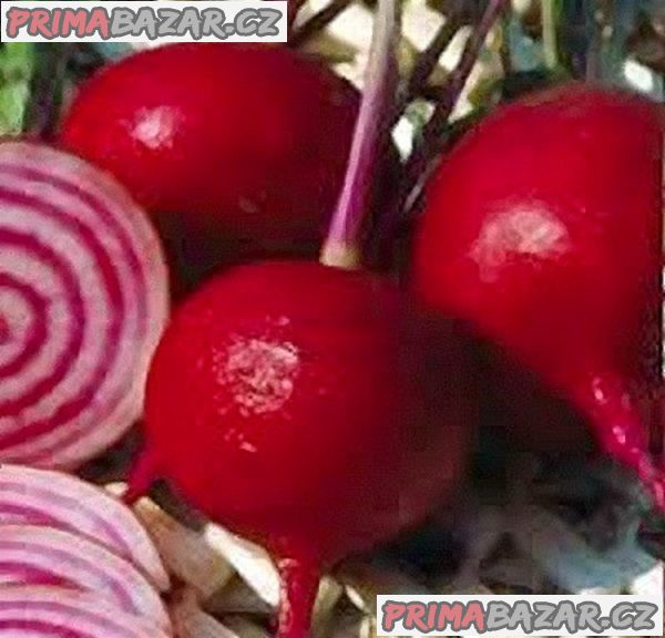 semena červené řepy Da Orto Tonda Di Chioggia