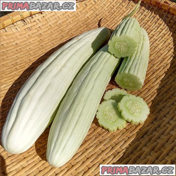 semena Arménská okurka Tortarello Bianco Abruzzese