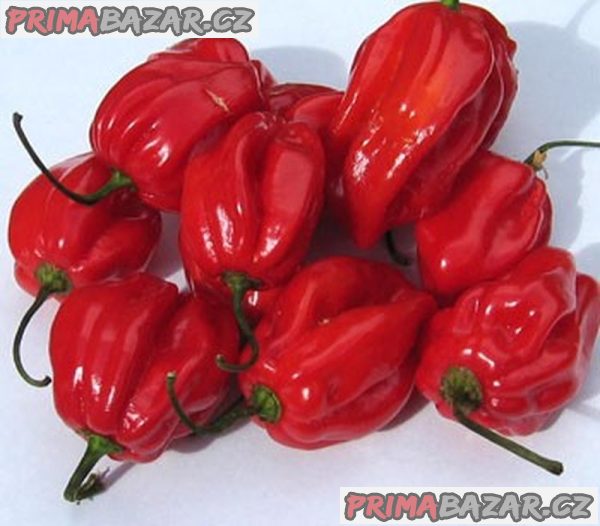 chilli Red Habanero