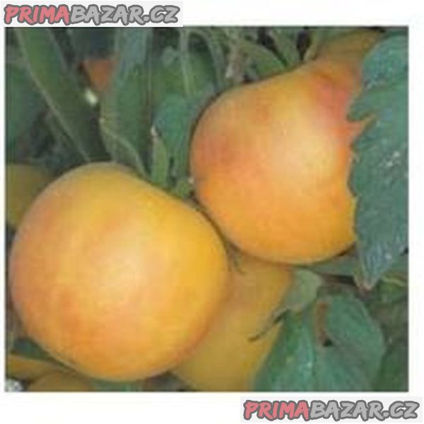 Rajče „Garden Peach“