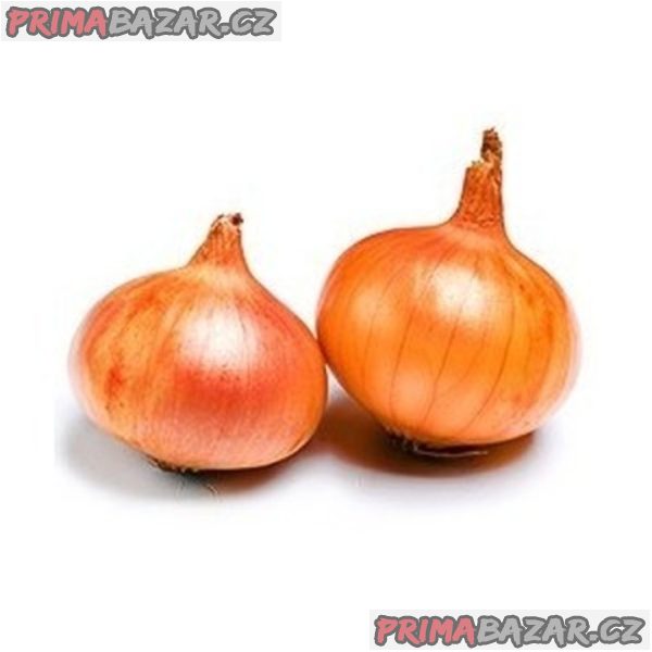 Cibule Dorata Di Parma