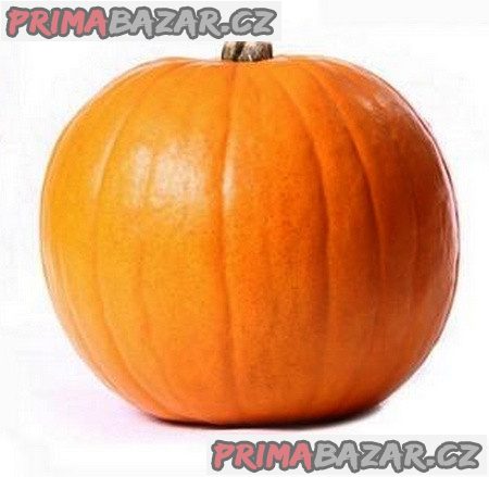 Tykev Quintale Seme Giallo - semena