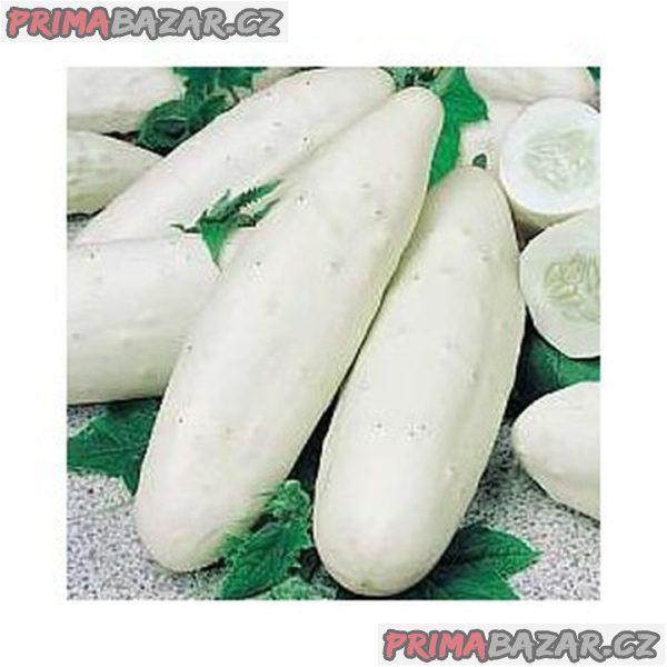 Okurka  Mezzo Lungo Bianco