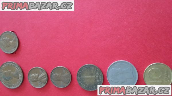 Mince-Velká Británie, USA, Rakousko, Belgie, Izrael – fotografie 1