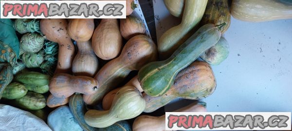 Cukety – fotografie 1