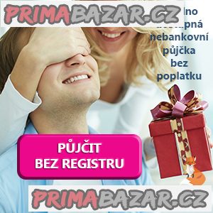 Vyplacení exekucí nemovitostí – fotografie 1