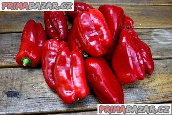 Paprika Fatima - semena – fotografie 1