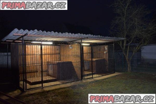 Německý ovčák štěňata - Rokycany – fotografie 10