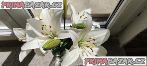 Hledají se zájemci o domácí práci , výdělek až 20000kc – fotografie 1