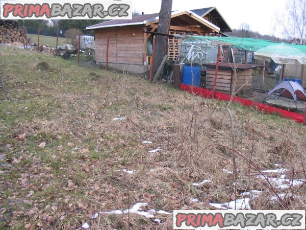 Prodáme pozemek Jílové u Děčína    /psč 407 01 / – fotografie 3